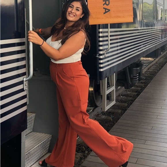 Leith Terracotta Wide-Leg Pants - Picture 2 of 3